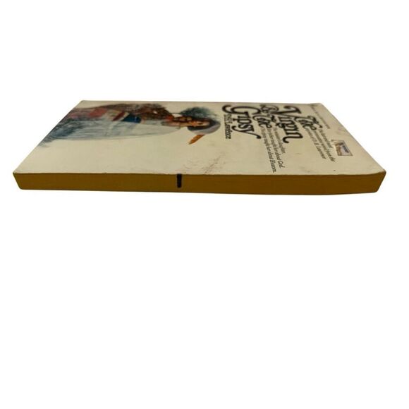 The Virgin And The Gipsy Paperback Book DH Lawrence Novel - Picture 3 of 12